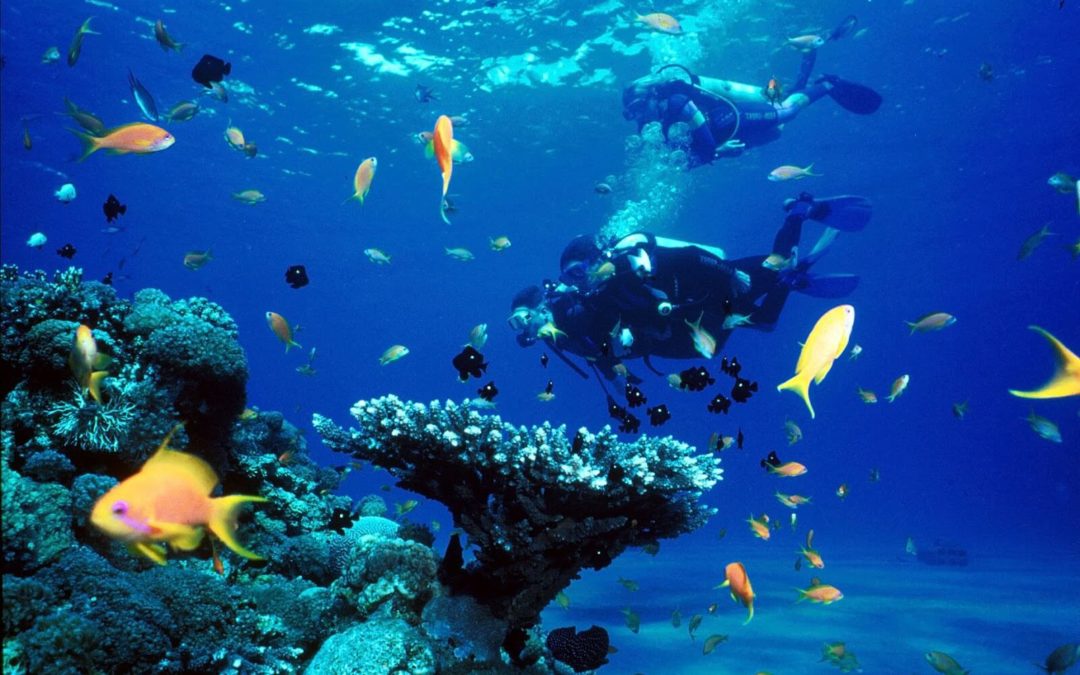 12 Nights & 13 Days-Srilanka with Lakshadweep Package